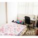 CITY（GLEBE, 近悉尼大学 USYD, UTS）APARTMENT安静大床单人房，友善房东，$260P...