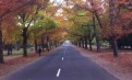 Bundoora 区 近La Trobe 大学和Rmit 大学